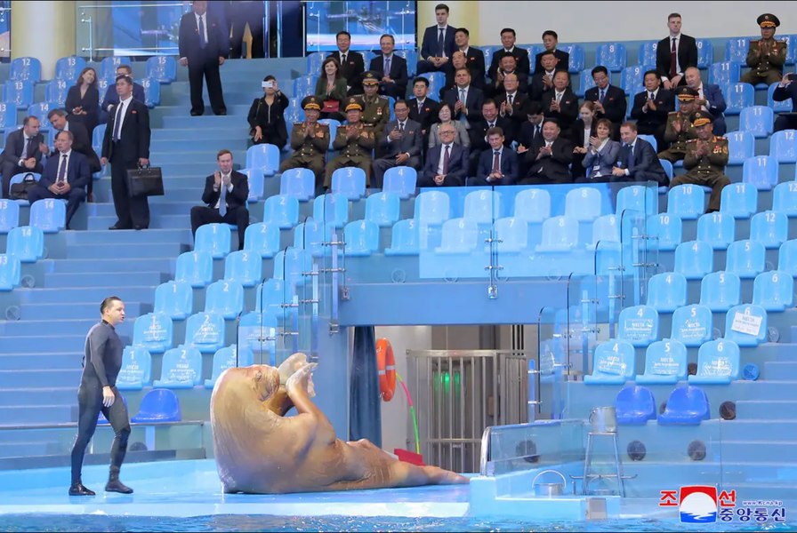 Partea nevăzută a vizitei lui Kim Jong-un în Rusia: balet și spectacole cu morse 