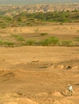 Zona de studiu Middle Awash, Riftul Afar din Etiopia, cu sedimente expuse orizontal în prim-plan, conținând mii de fosile și artefacte din perioada Paleoliticului Mijlociu (© Tim White)