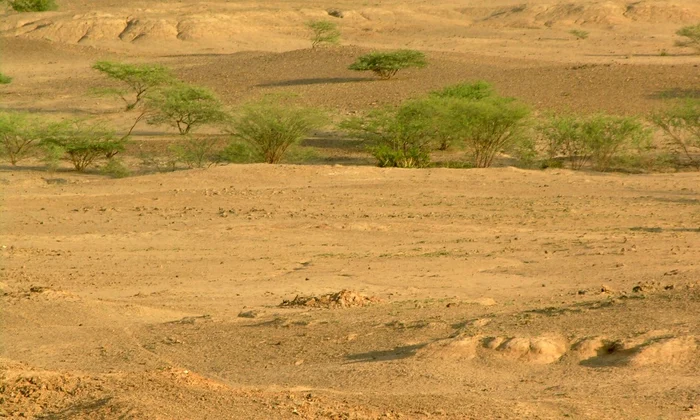 Zona de studiu Middle Awash, Riftul Afar din Etiopia, cu sedimente expuse orizontal în prim-plan, conținând mii de fosile și artefacte din perioada Paleoliticului Mijlociu (© Tim White)