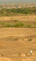 Zona de studiu Middle Awash, Riftul Afar din Etiopia, cu sedimente expuse orizontal în prim-plan, conținând mii de fosile și artefacte din perioada Paleoliticului Mijlociu (© Tim White)