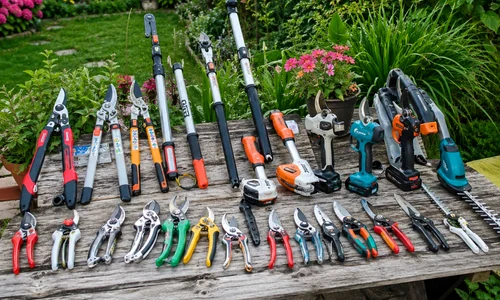 Foarfeci de grădină în funcție de tipul de utilizare Foto DMS pentru Ghidul Cumpărătorului Adevărul pg