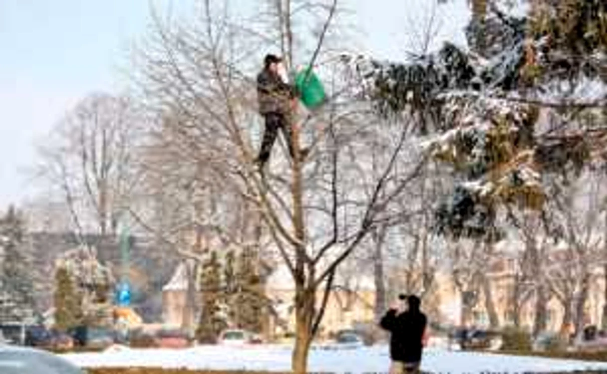  Foto: Bogdan Crăciun