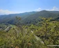 Cetatea dacică Bănița Foto Daniel Guță ADEVĂRUL (43) jpg