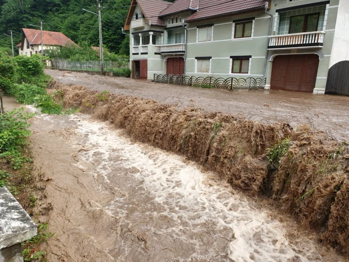 viitura dobra alba