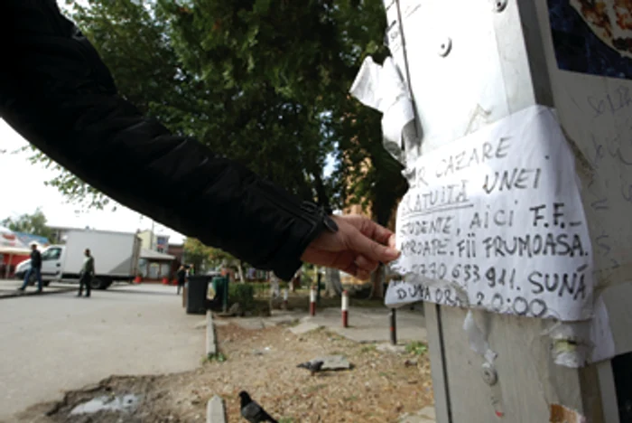 Timişoara: Cazare pentru sex în Complexul Studenţesc