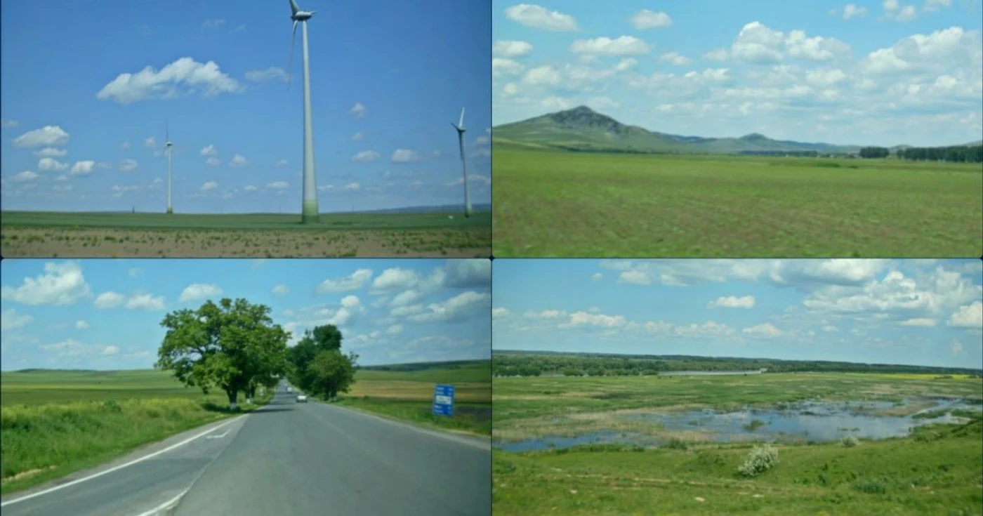 delta dunarii gabi bucur