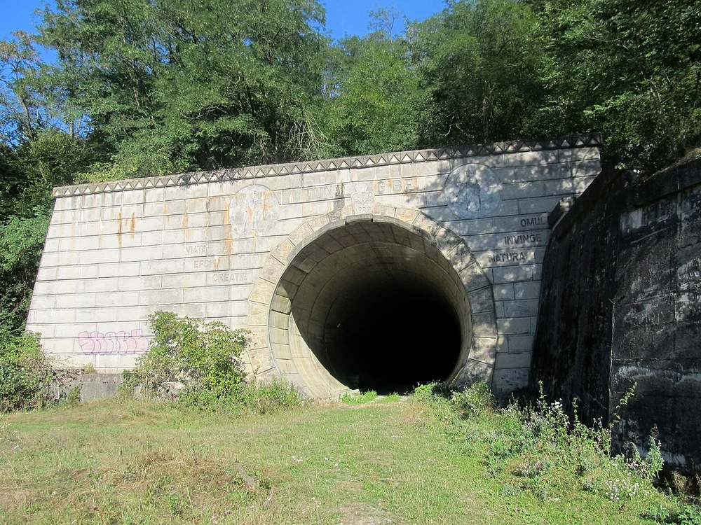 Tunelul Gibei de pe fosta cale ferată din Vâlcea. Foto: Nenea Hartia. Wikipedia