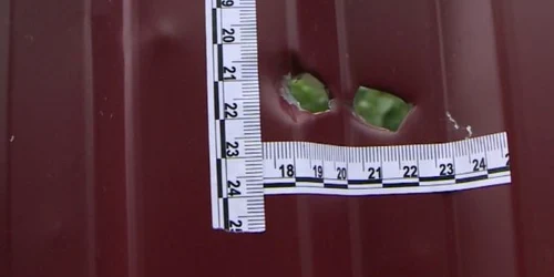 impuscaturi bivolari