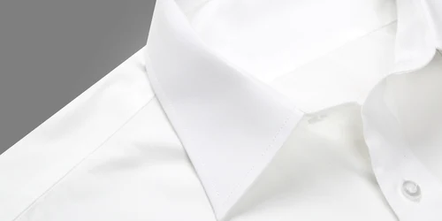 Cămașă cu guler înalt FOTO Shutterstock