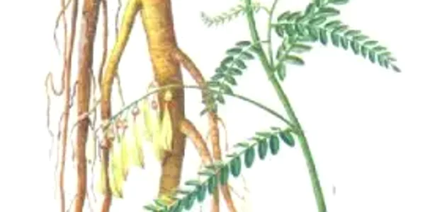 image png