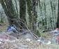 Cheile Cernei din Hunedoara Foto Daniel Guță (35) jpg