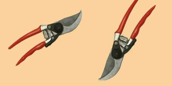 Cleşte Li Qiang 