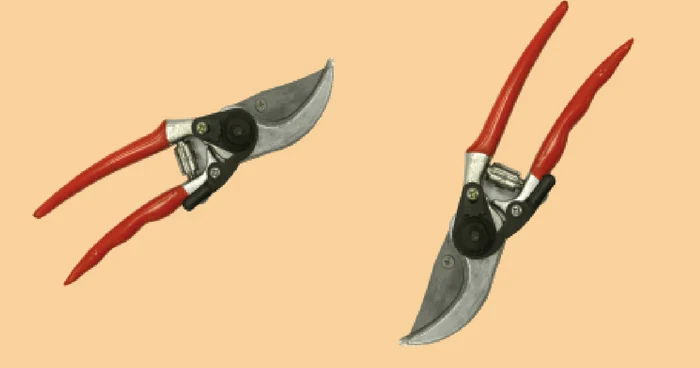Cleşte Li Qiang