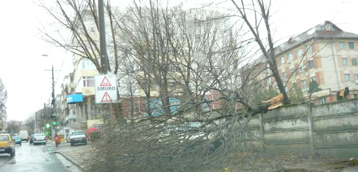 Cod portocaliu la Tulcea FOTO Adevărul