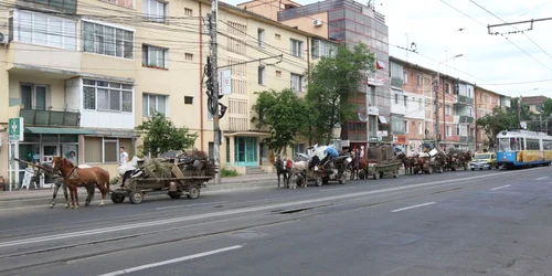 Căruţe încărcate cu fier vechi, trase pe dreapta pe bulevardul Tudor Vladimirescu (Foto: Florin Chirica)