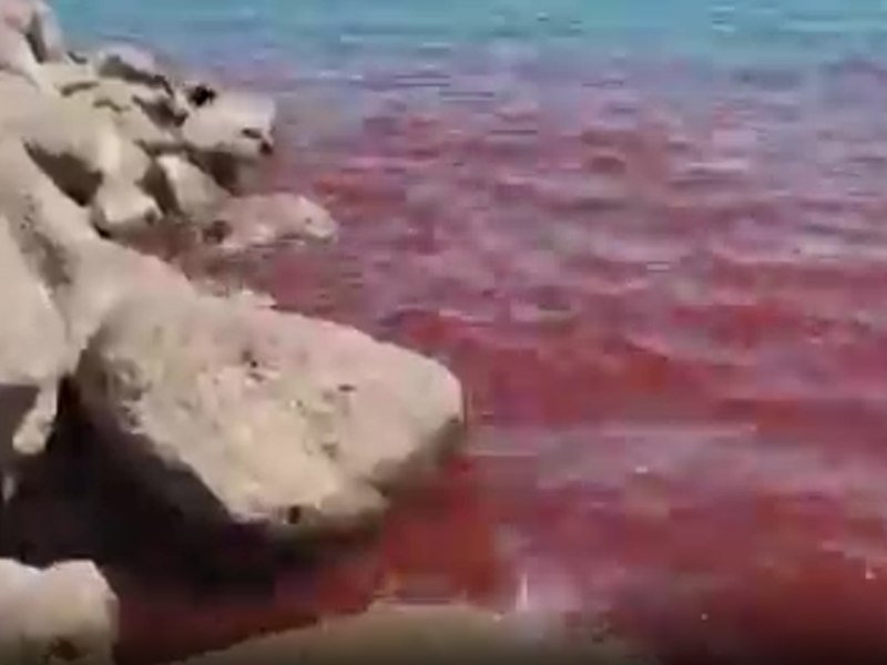 Localnicii, terifiați după ce Marea Galileii s-a înroșit ca pe vremea lui Moise. „Ar trebui ca oamenii să se împace cu Iisus”