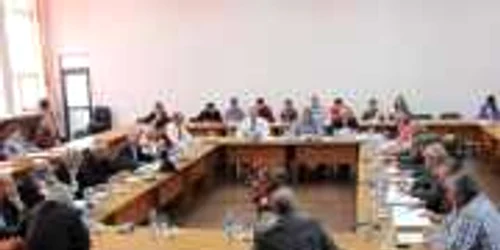 Consiliul Local Alexandria