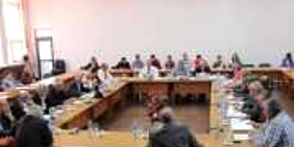 Consiliul Local Alexandria