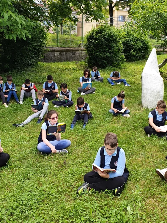 Ioana Babos profesor Merito 3