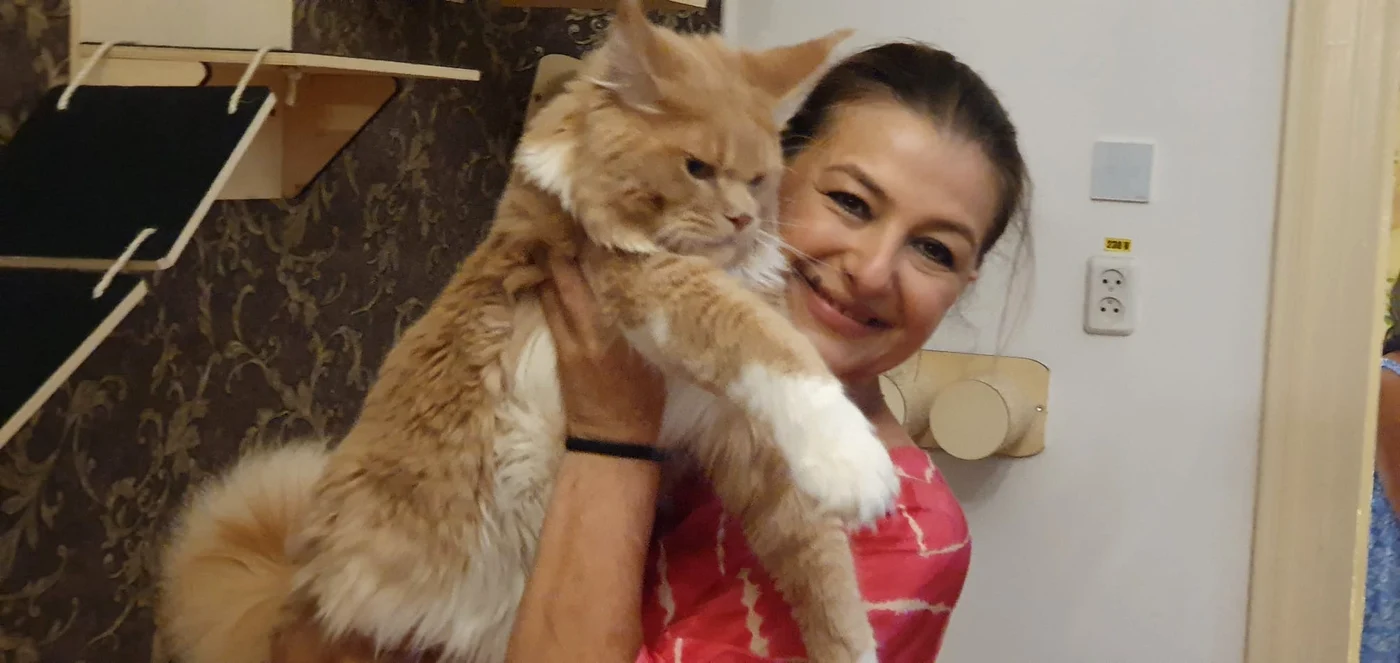 Pisica din rasa Maine Coon și Gilda stăpâna ei