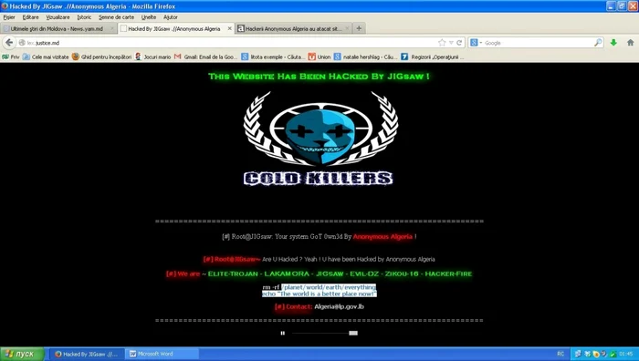 Hackerii au blocat activitatea paginii oficiale