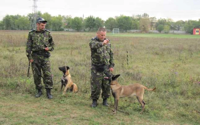 Câinii de la Poliţia de Frontieră 