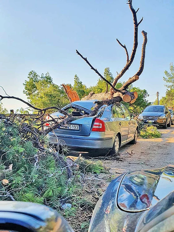 Vedeta tv Raluca  Moianu, aflată  în vacanţă,  a fotografiat această  imagine de coşmar