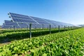 panouri solare adobestock jpg
