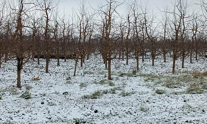 O rachetă a căzut într-o livadă nordul Republicii Moldova (foto: Ministerul Afacerilor Interne al Republicii Moldova)