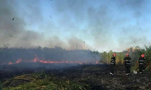 incendiu delta jpeg