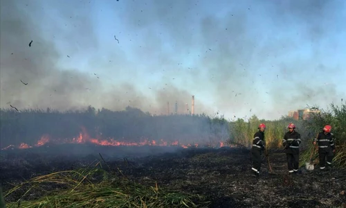 incendiu delta jpeg