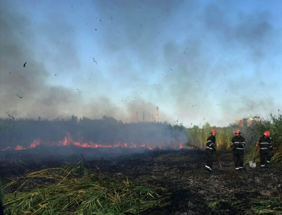 
    Focul a pornit de la vegetația uscată. Foto: ISU BUcurești-Ilfov  