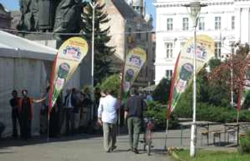 festival bere