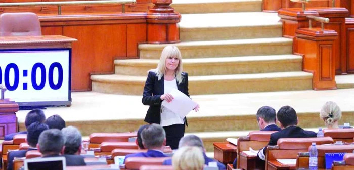 Elena Udrea, în Parlament FOTO Facebook