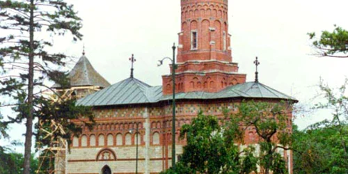 popauti