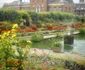 8 sunken garden 1 jpg jpeg