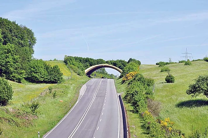 Aşa arată în vest un pod pentru animale sălbatice