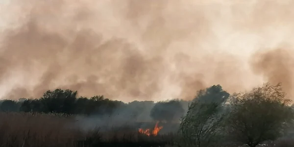 Incendiu Crişan FOTO ISU Delta 
