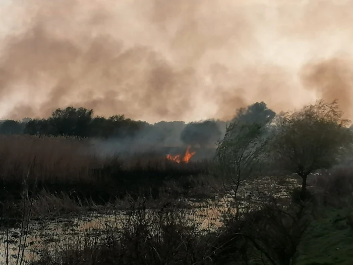 Incendiu Crişan FOTO ISU Delta