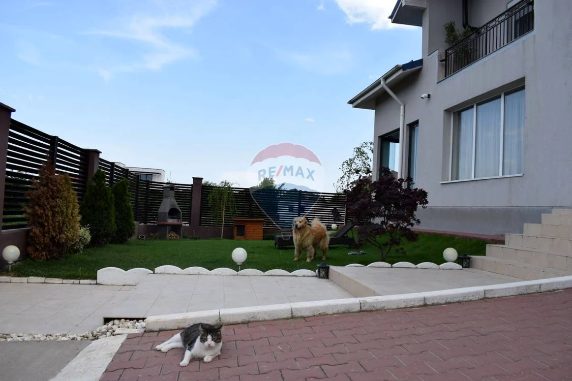 Curtea vilei este îngrijită și nu lipsesc din peisaj animalele de companie