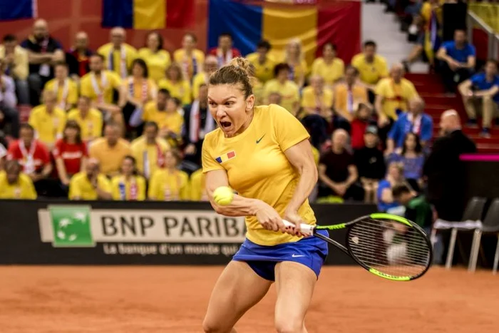 Simona Halep a dus România în semifinalele Fed CupFOTO: Sportpictures.eu