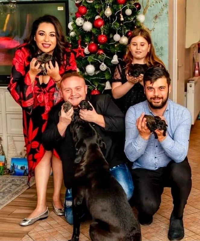Oana Roman și-a dat câinii pe mâna dresorului Mihai Nae / Sursa: Instagram