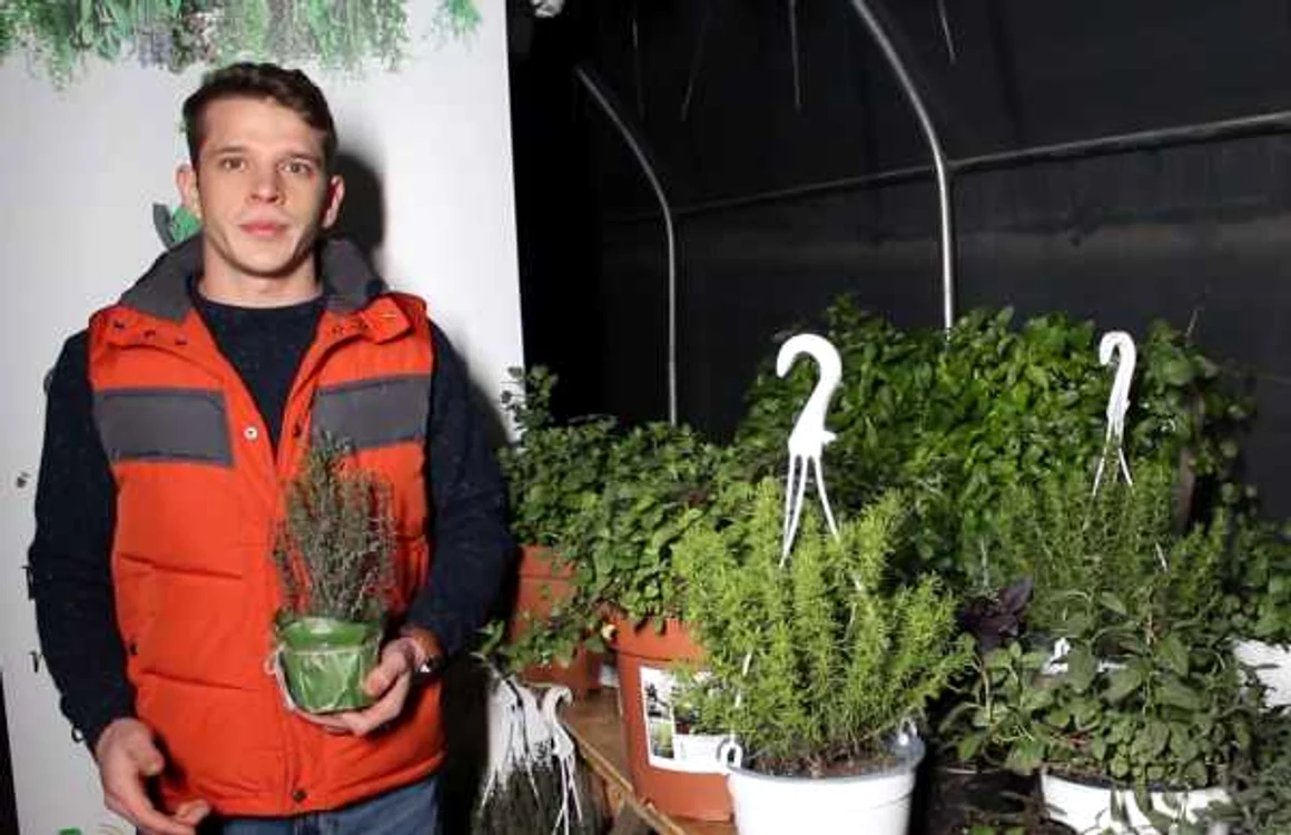 Constantin Straton, masterand al Facultăţii de Horticultură din cadrul USAMV Iaşi  FOTO USAMV