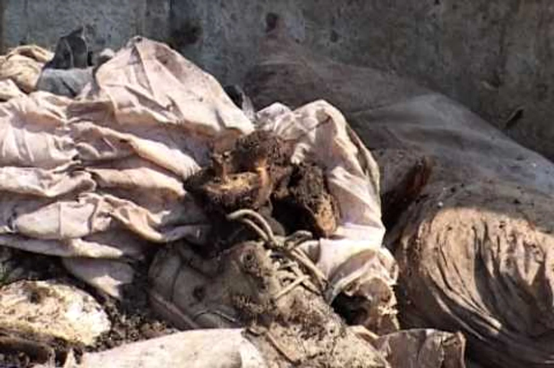 Osemintele au fost găsite lângă gardul cimitirului