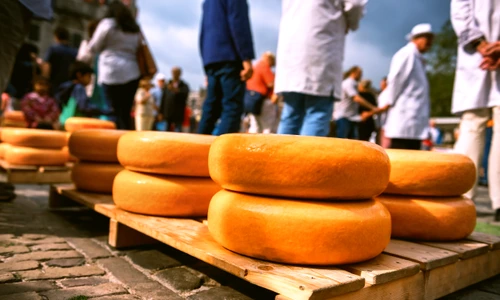 1 shutterstock 1517443463 jpg jpeg