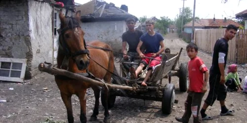 Doar căruţele intră fără griji pe Aleea Grădinilor