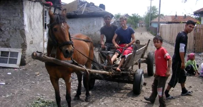 Doar căruţele intră fără griji pe Aleea Grădinilor