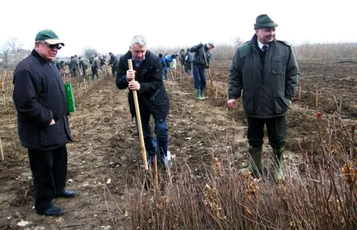 Consiliul Judeţean a început plantarea a 4.000 de puieţi pe marginea Drumului Sudului