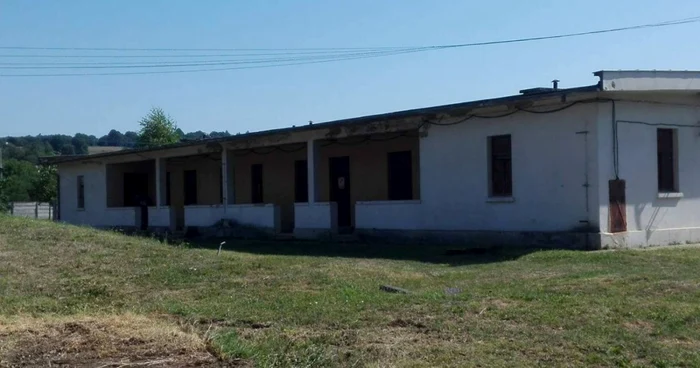 unitate barzava