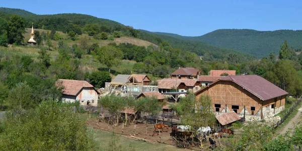 sat parasit alba